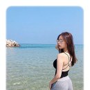 집톡스