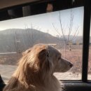 조재진동물병원 이미지