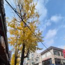 명륜섬식당