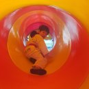 용인대쌍용태권도 이미지