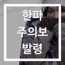 엘리트 복싱클럽 이미지