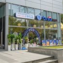 마포-상암-마포-6393 | 상암동 직장인 점심 추천 쫄깃함이 남다른 우동키노야 상암점 내돈내산인 척 후기