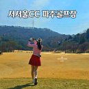 서서울 | 서서울CC 후기 그린 빠른 파주 골프장