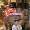 테이블에이 놀이터 이미지