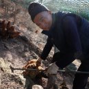 부부 숯불구이 이미지