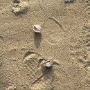 석화농원 이미지