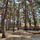 명천체험마을 이미지