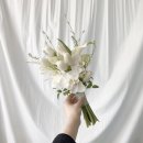 코트야드 바이 메리어트 수원 이미지