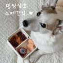 멍멍상회 이미지