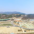 명품과일나라