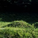 둔전15리 이미지