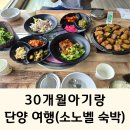 대명2목장 | 30개월아기랑 단양여행 숙소 맛집 대명소노벨 워터플레이 워터파크