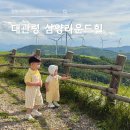 대신발전기 - 남양주시 진건오남로390번길 167 | 평창 아이와 가볼만한 곳, 대관령 삼양라운드힐 방문 후기