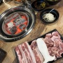 고고돼지 이미지