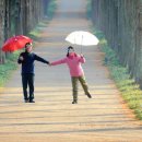 산림자원연구소 이미지