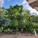 용전숲 공중화장실 이미지