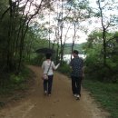봉무공원 산책로 티스토리