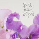 사암한의원 네이버블로그