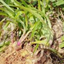 금소농장 이미지