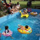 황금수영장 이미지