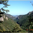 무릉계곡 이미지