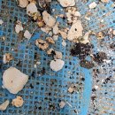 하얀별모텔 이미지