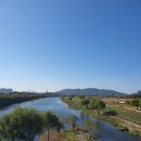 꽃섬나드리 이미지