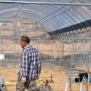 울진봄날애햇살 이미지