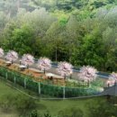 생태와대구 이미지