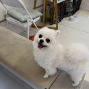 까까로운 | 오늘도 까까로운 방문!