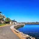 삼달리-5 | 웰컴투 삼달리 5화 안 본 사람 손해 왕경태는 꼭 봐야돼요.