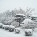 전북제일고 이미지