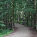 (주)방아다리 이미지