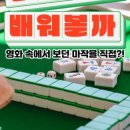 레이지니 이미지