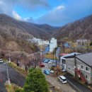 세명대중목욕탕 이미지