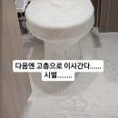 아파트에서 변기발포제 함부로 사용하면 안되는 이유 이미지