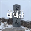 승우여행사로 엄마랑 편하게 다녀온 태백산 설산 후기(어평재 휴게소 - 사길령 - 장군봉 - 천제단 - 당골)