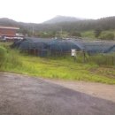 여주-0928 이미지