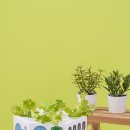 (주)스퀘어팜 이미지