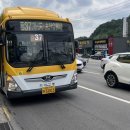 주정차37 이미지