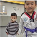 팀퍼스트 태권도장 이미지