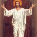 대로2-31 이미지