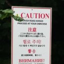 훌라당구장 네이버블로그