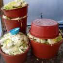 거창펜션 이미지