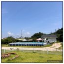 제부 포레스트 이미지