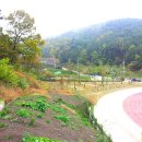 명곡체육공원 이미지