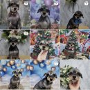 닥터표동물병원 이미지