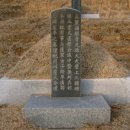 선세 이미지