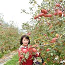 정병수농장 이미지