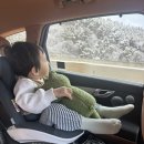 장남-1 | [강원도/춘천여행] 장남 조카와 떠나는 1박2일 여행기, 뭇별키즈풀빌라/해피초원/구봉식당/회향 (1일차)